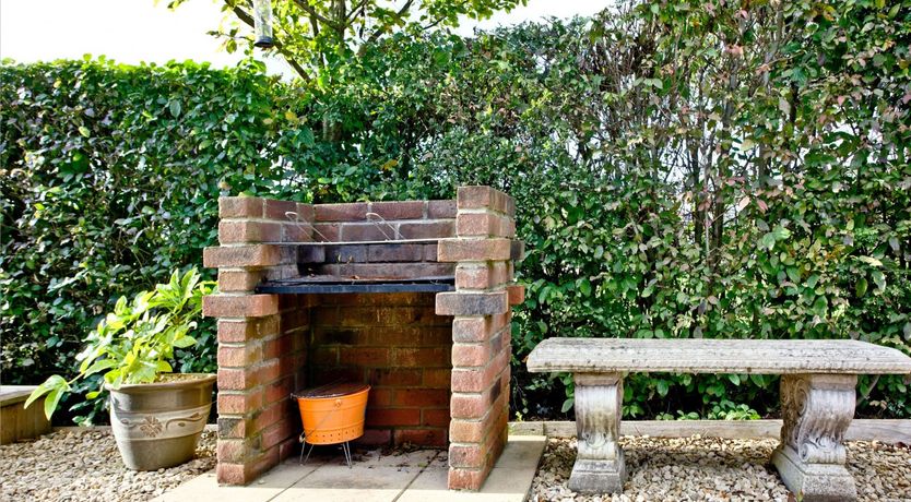 Photo of Starry Fields