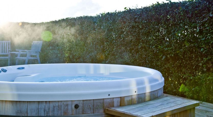 Photo of Starry Fields