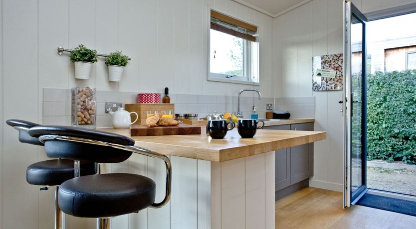 Photo of Starry Fields