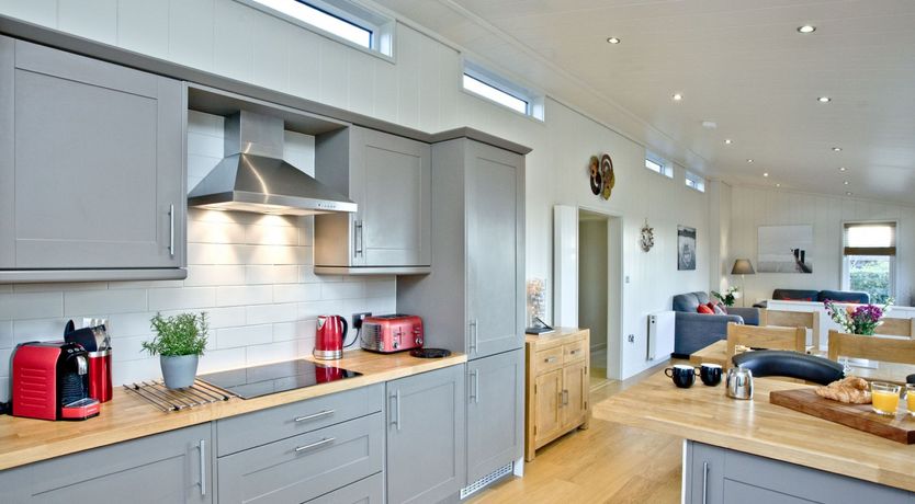 Photo of Starry Fields