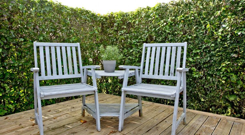 Photo of Starry Fields