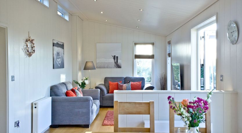 Photo of Starry Fields