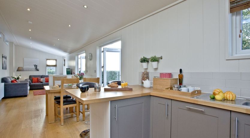 Photo of Starry Fields