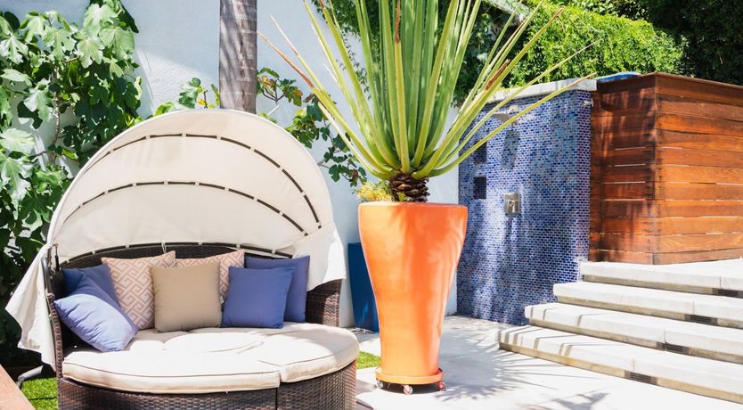 Photo of Hollywood Swinging