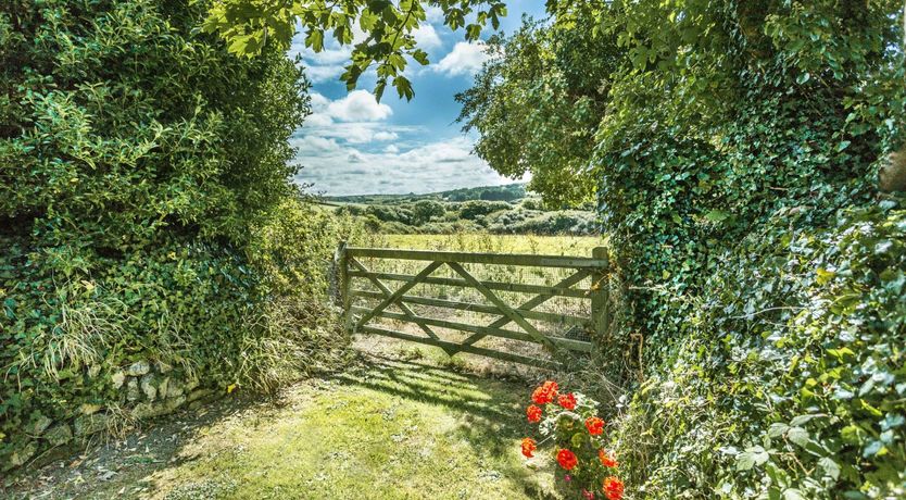 Photo of Amid The Orchards