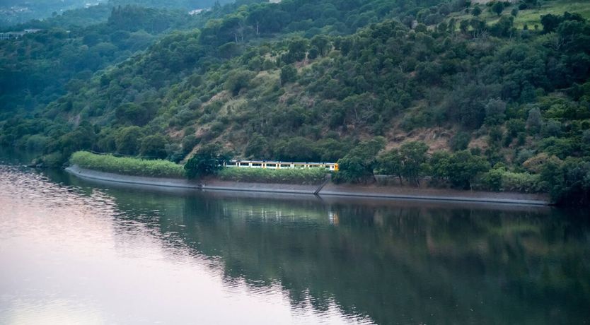 Photo of Dreaming of the Douro