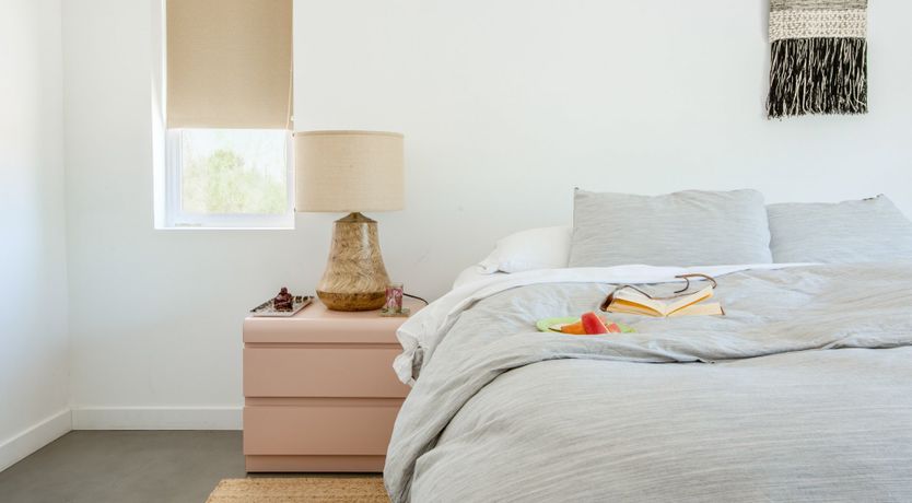 Photo of The Roadrunner