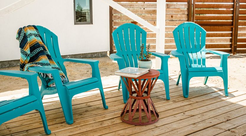 Photo of The Roadrunner