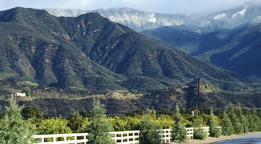 Photo of Hey Good Lookin'