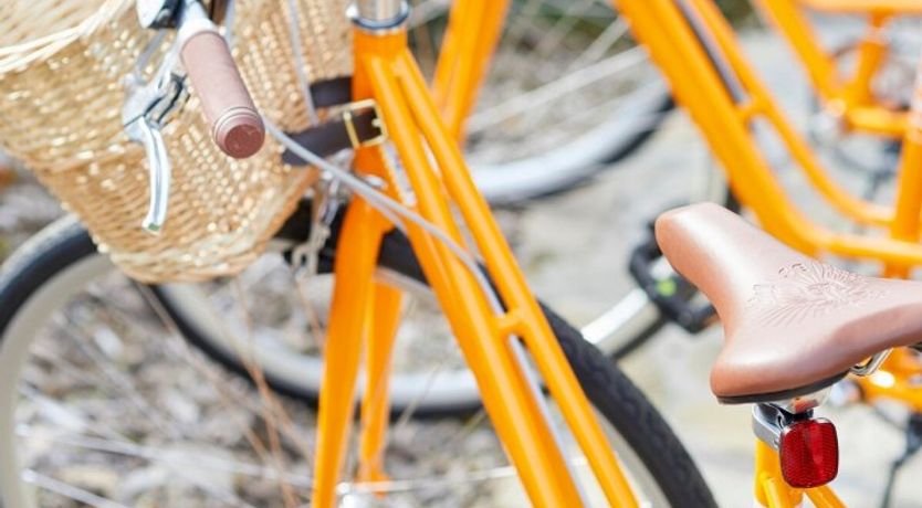 Photo of Hey Good Lookin'