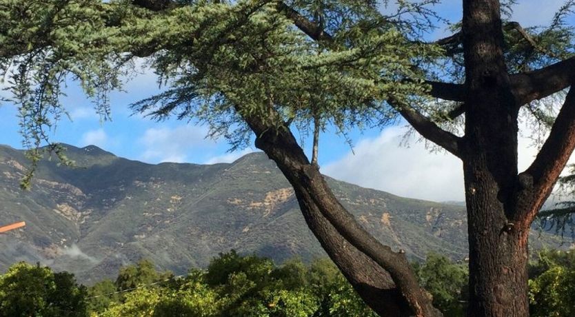 Photo of Hey Good Lookin'