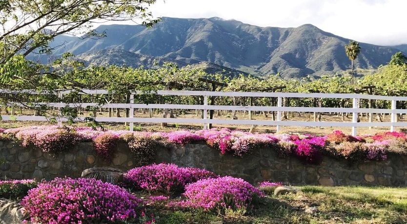 Photo of Hey Good Lookin'