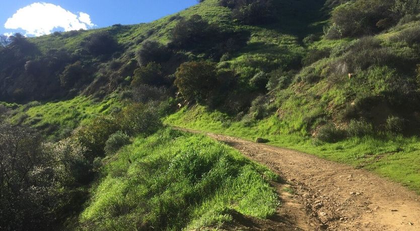 Photo of Hey Good Lookin'