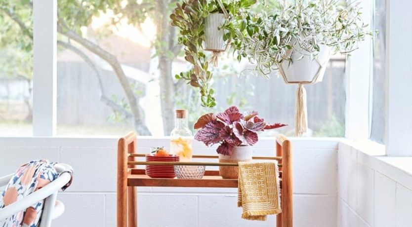 Photo of Hey Good Lookin'