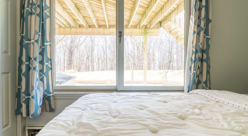 Photo of Art & Nature