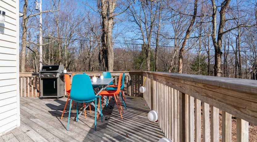 Photo of Art & Nature