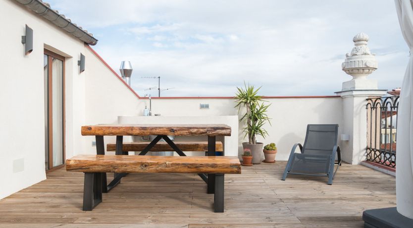 Photo of Tropical Alien