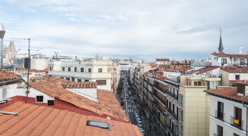 Photo of Tropical Alien