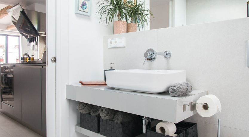 Photo of Tropical Alien