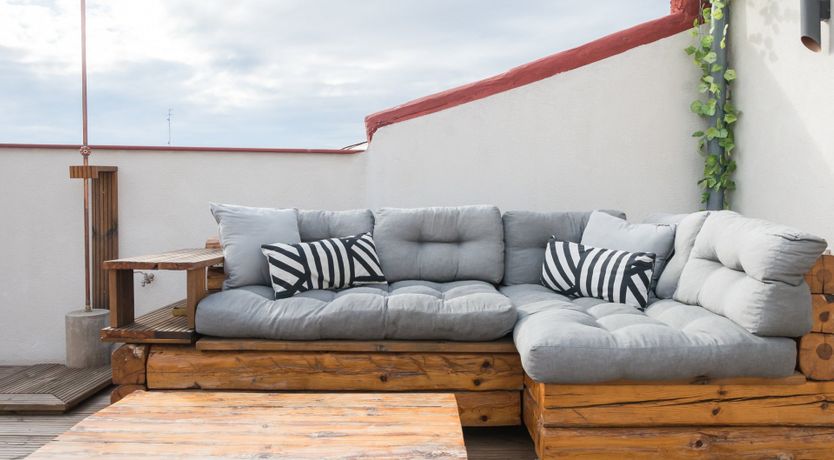 Photo of Tropical Alien