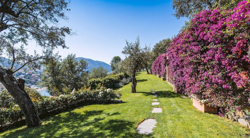 Photo of Blue Blue Sea