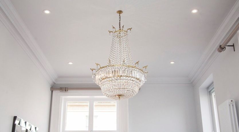 Photo of St John's Wort