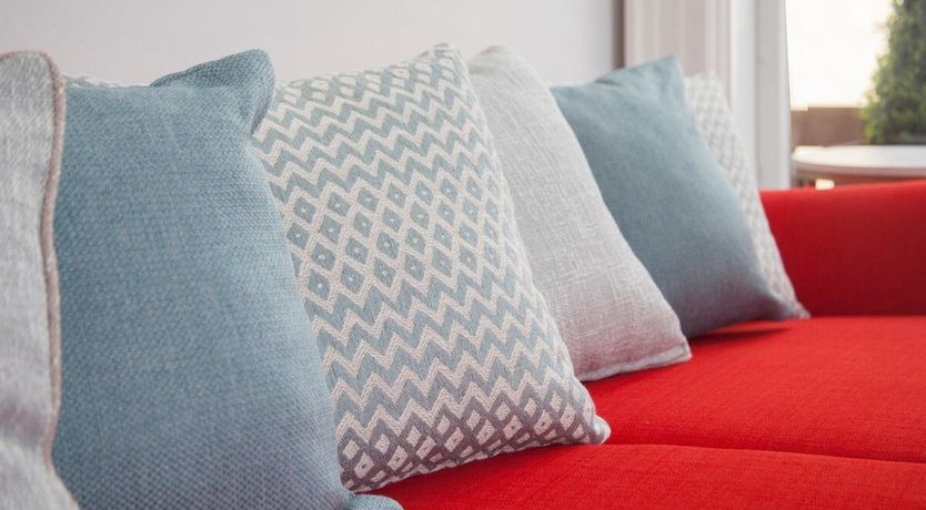 Photo of St John's Wort