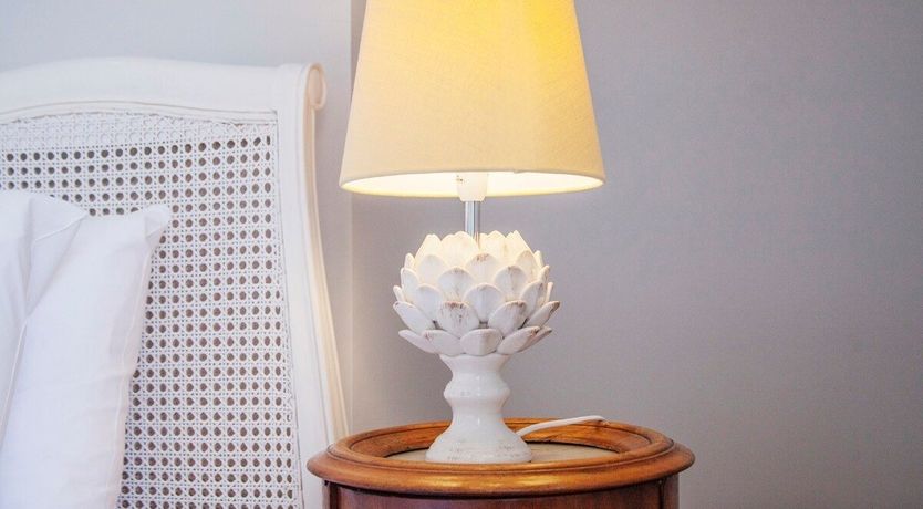 Photo of St John's Wort