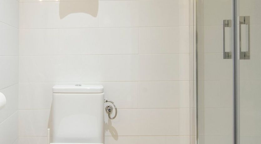 Photo of Earth and the City