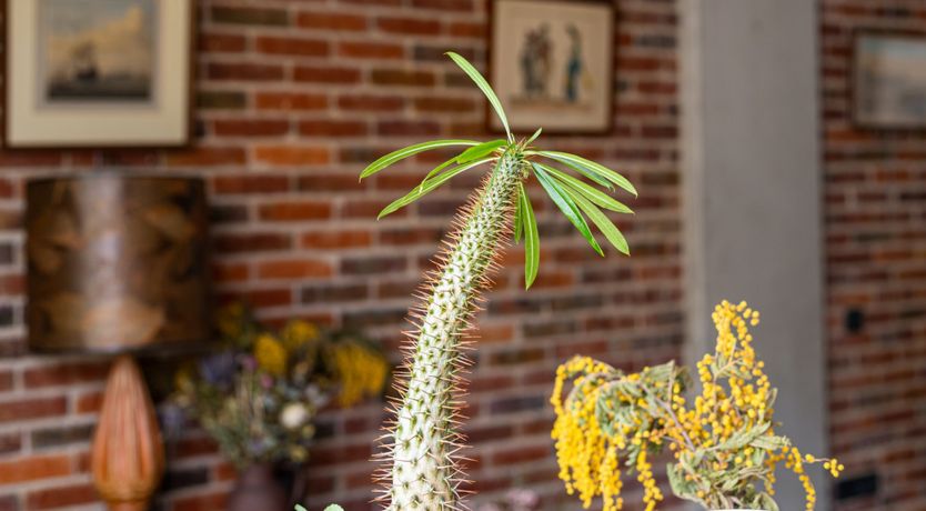 Photo of The Renegade