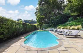 Photo of a-royal-rose