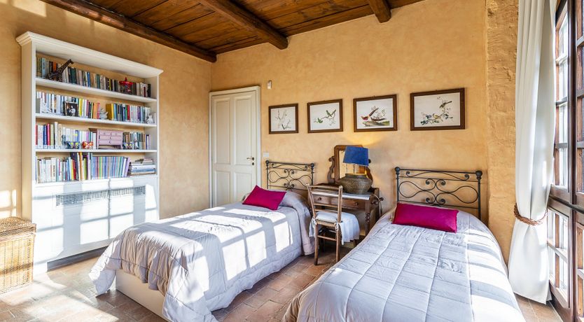 Photo of A Royal Rose