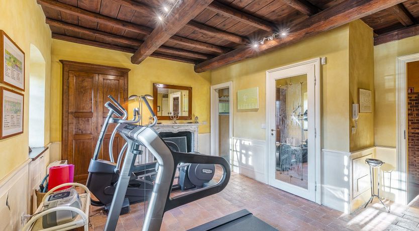 Photo of A Royal Rose