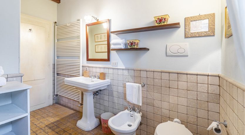 Photo of A Royal Rose