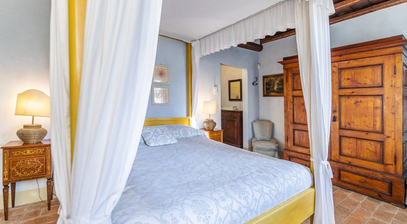 Photo of A Royal Rose