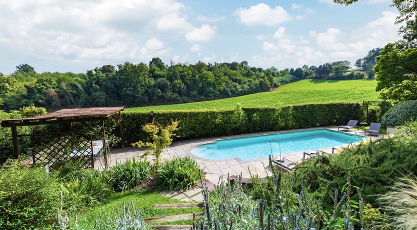 Photo of A Royal Rose