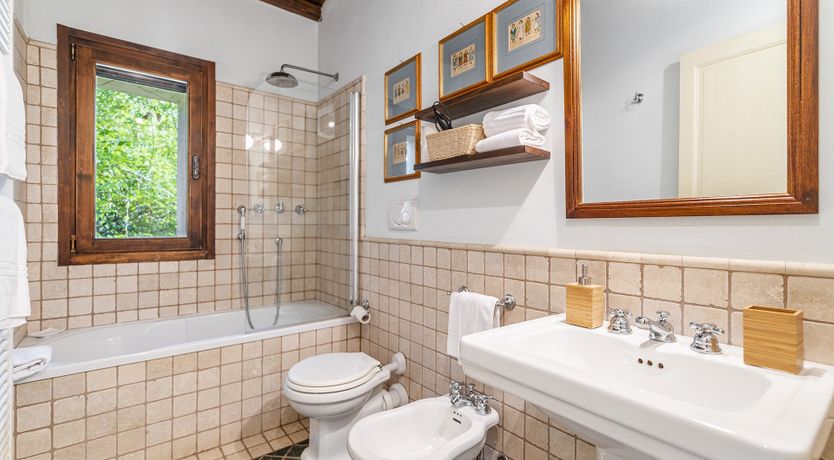 Photo of A Royal Rose