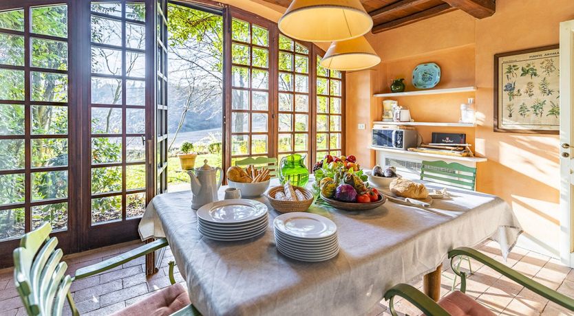 Photo of A Royal Rose