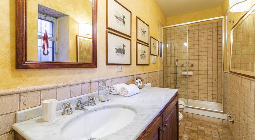 Photo of A Royal Rose