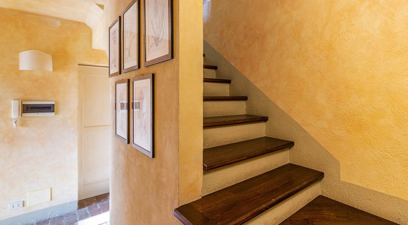 Photo of A Royal Rose