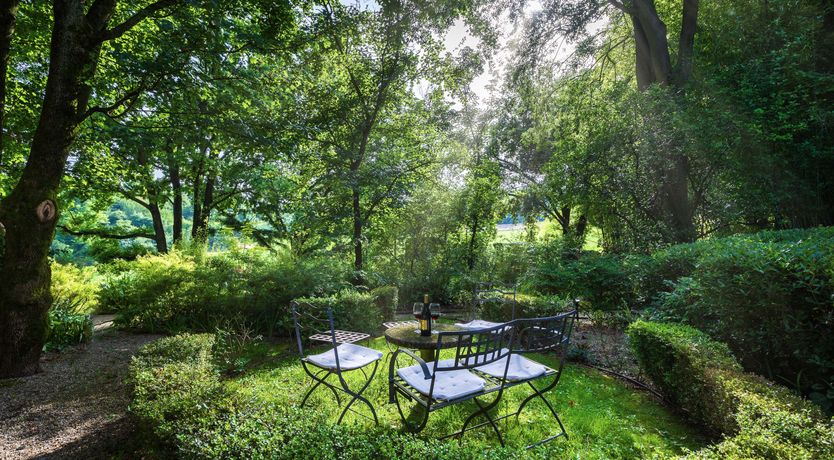 Photo of A Royal Rose