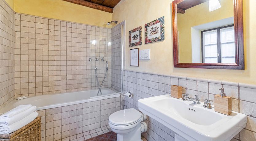 Photo of A Royal Rose