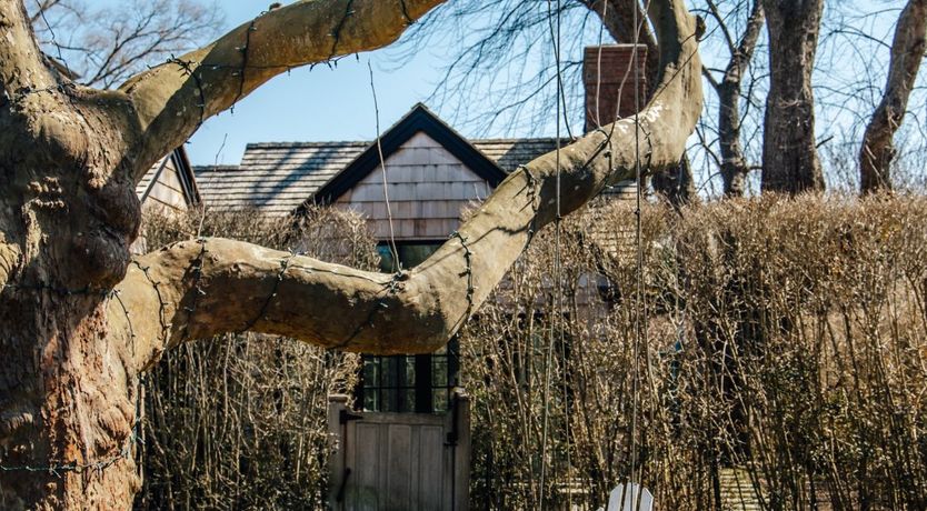 Photo of Marble Muse