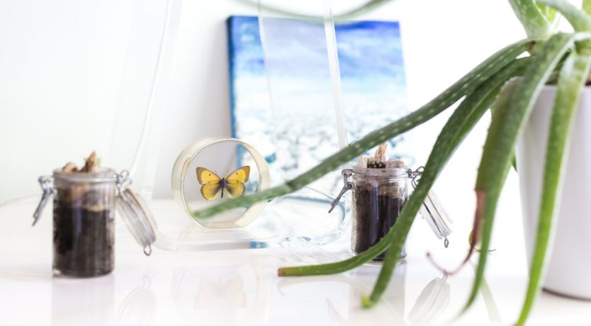 Photo of Montreal vers Hollywood