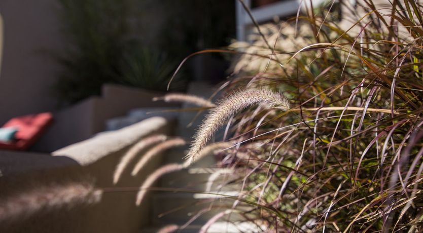 Photo of Montreal vers Hollywood