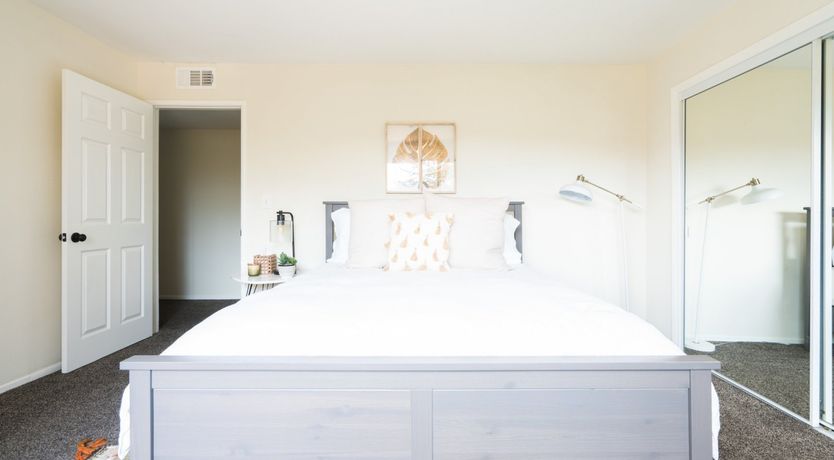 Photo of Leather Leaves