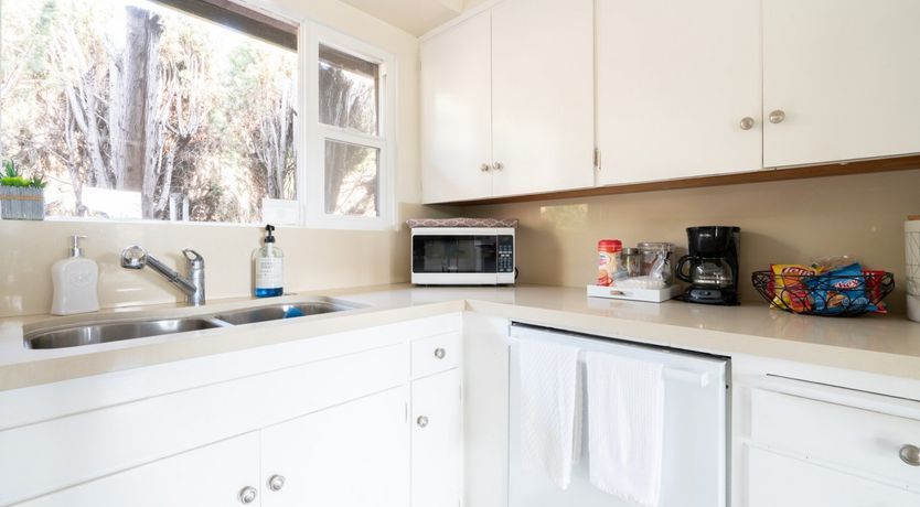 Photo of Leather Leaves