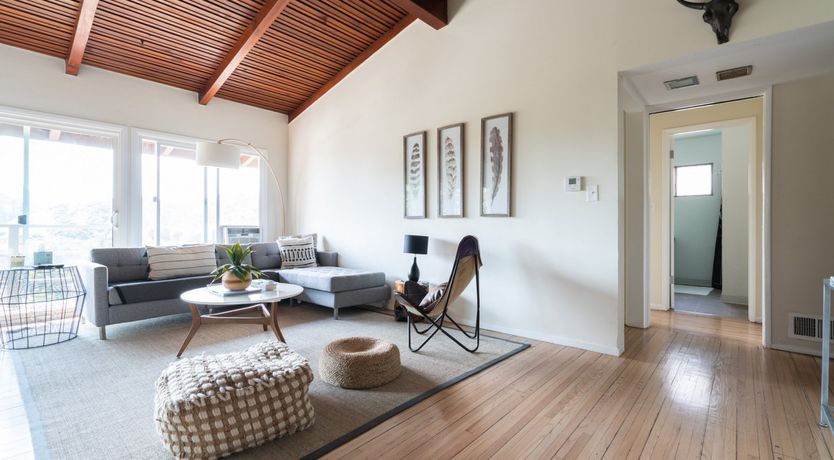 Photo of Leather Leaves