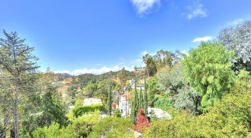 Photo of Leather Leaves