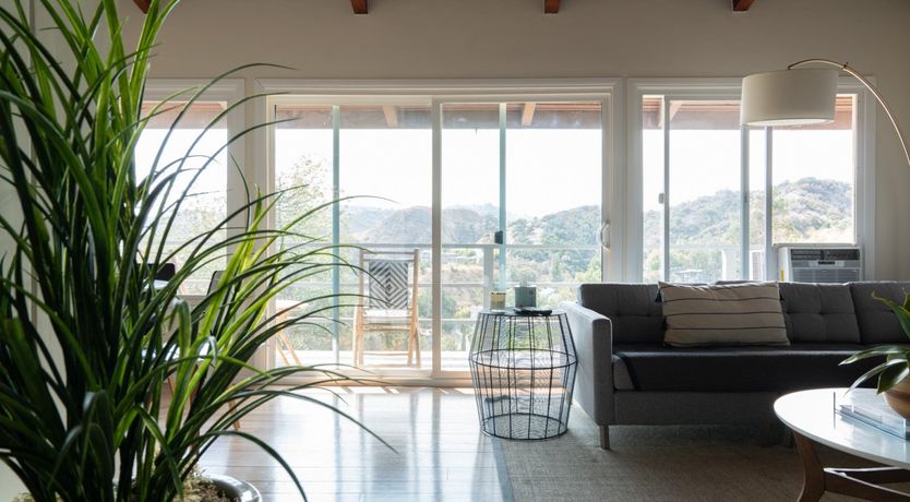 Photo of Leather Leaves